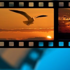 Videography & Photography
